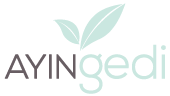 logo-AYINgedi-team2